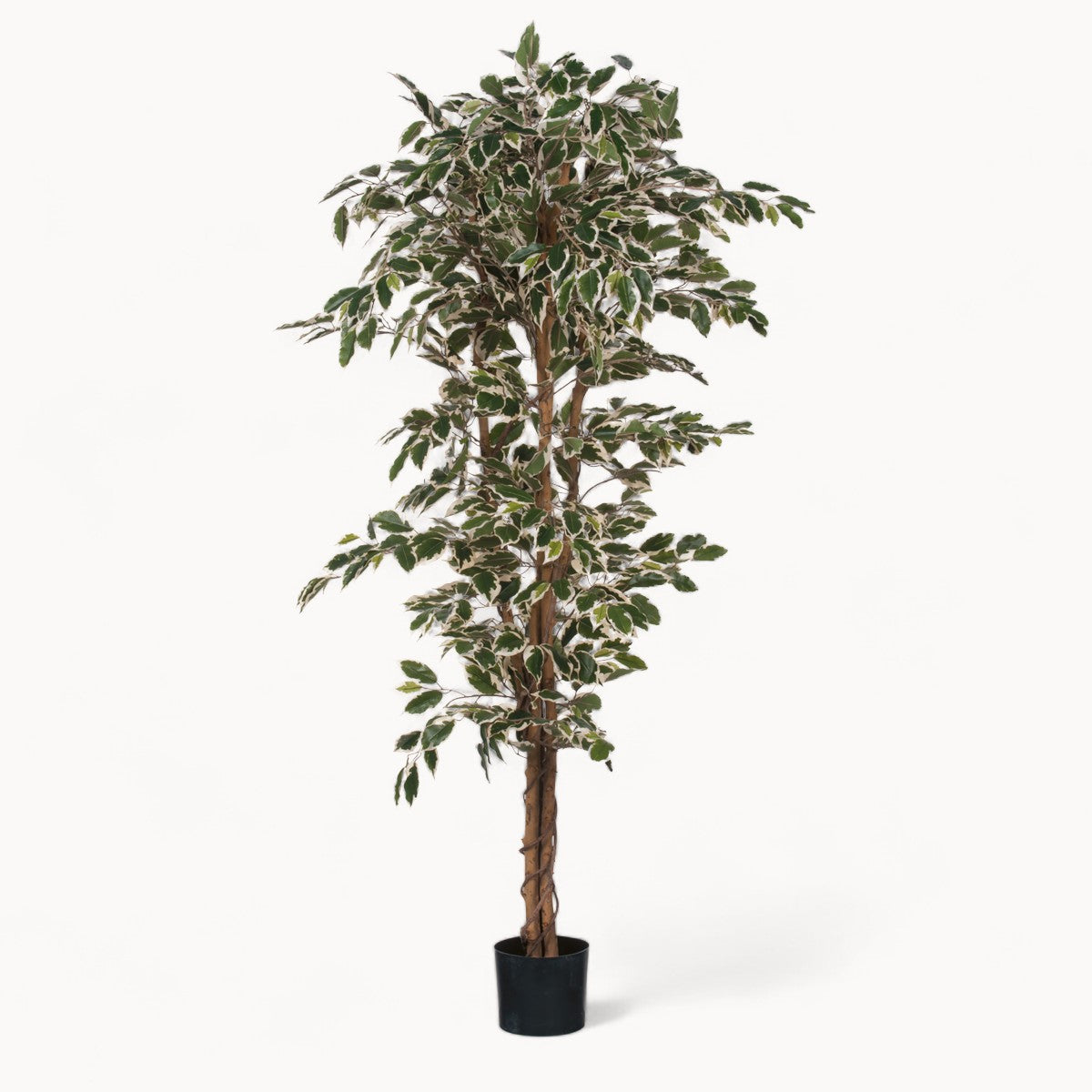 Ficus Kunstplant 180 cm