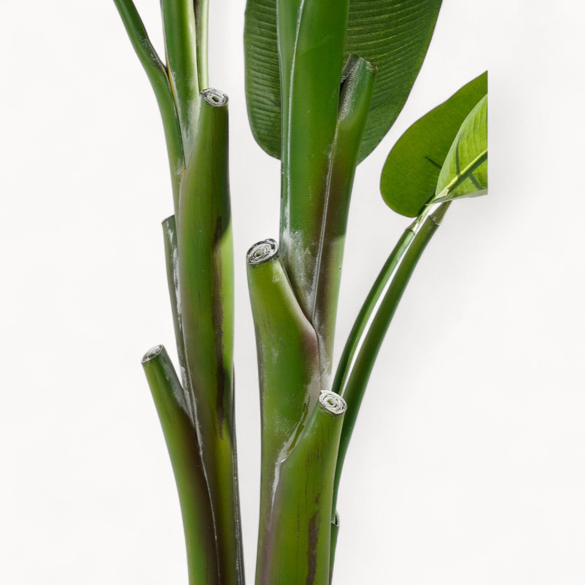 Heliconia Kunstplant 175 cm