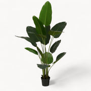 Bananenboom Kunstplant 180 cm