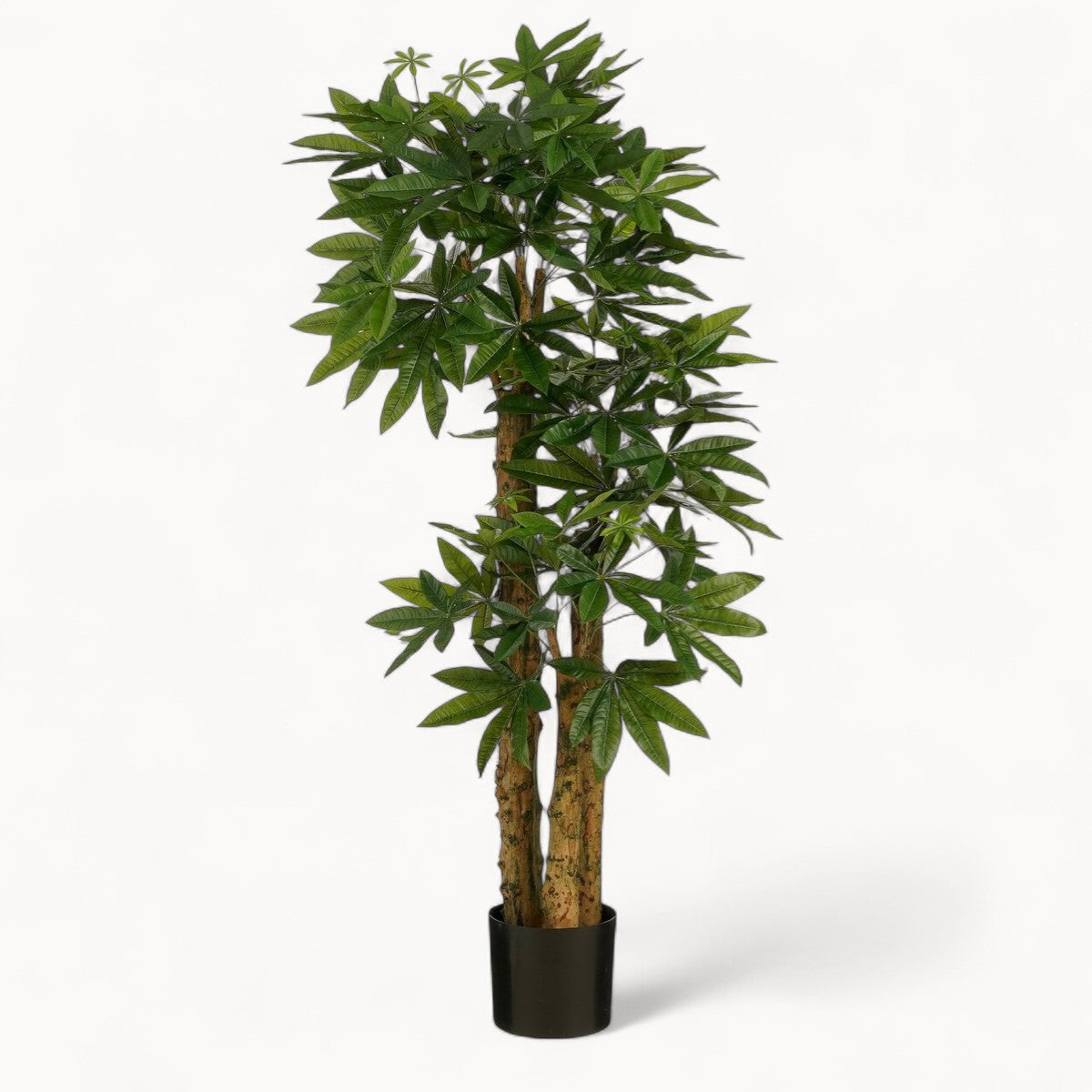 Pachira Kunstplant 175 cm