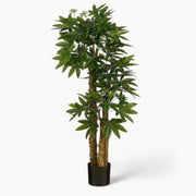 Pachira Kunstplant 175 cm