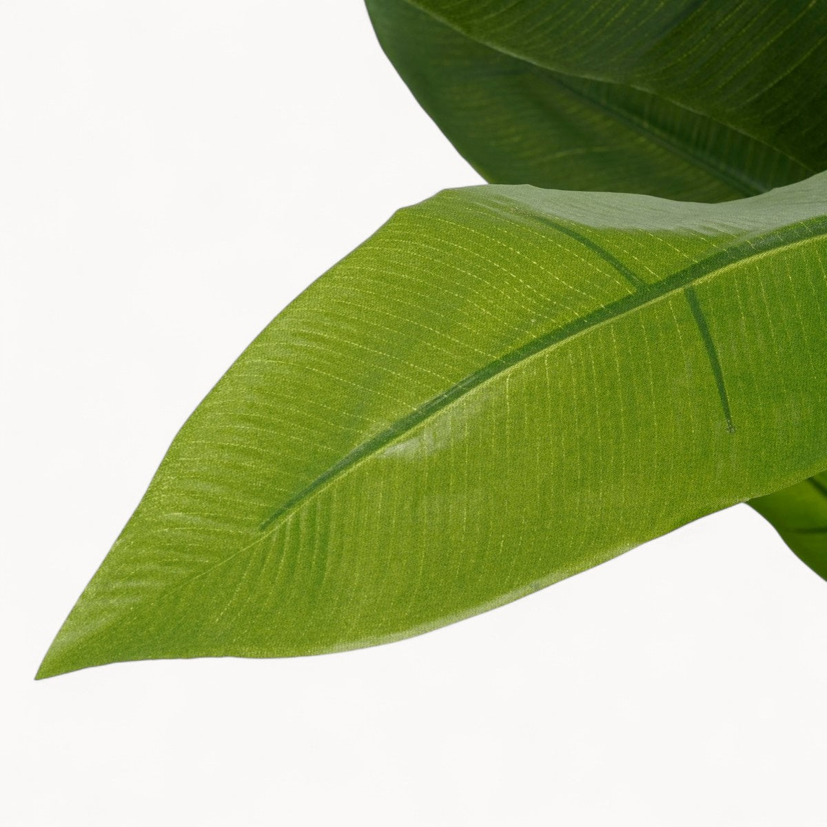 Heliconia Kunstplant 175 cm