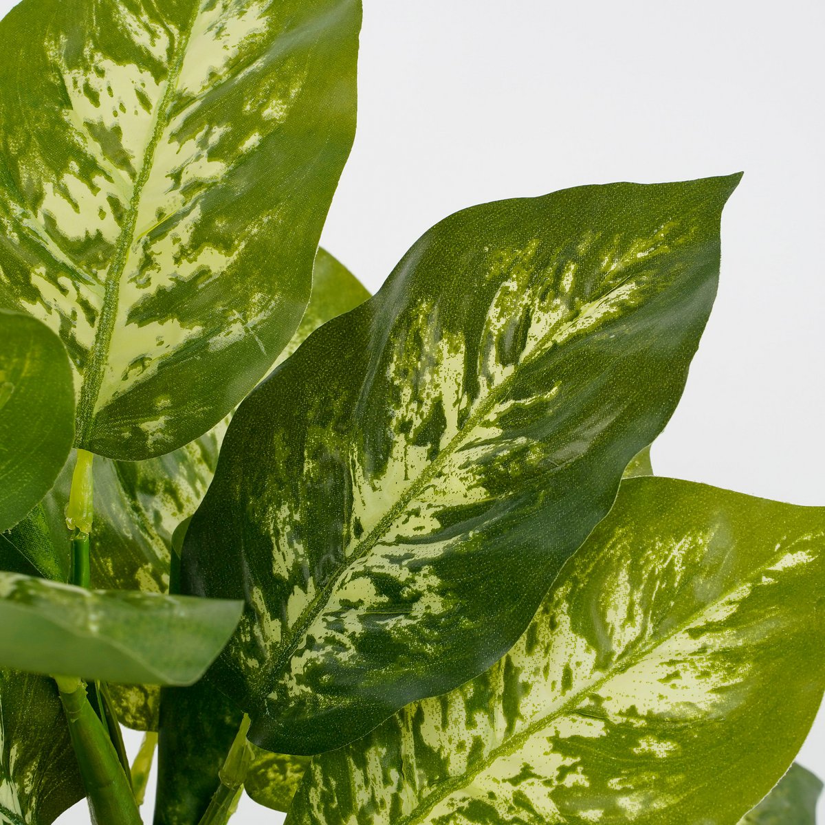 Dieffenbachia Kunstplant 40 cm (in bloempot)