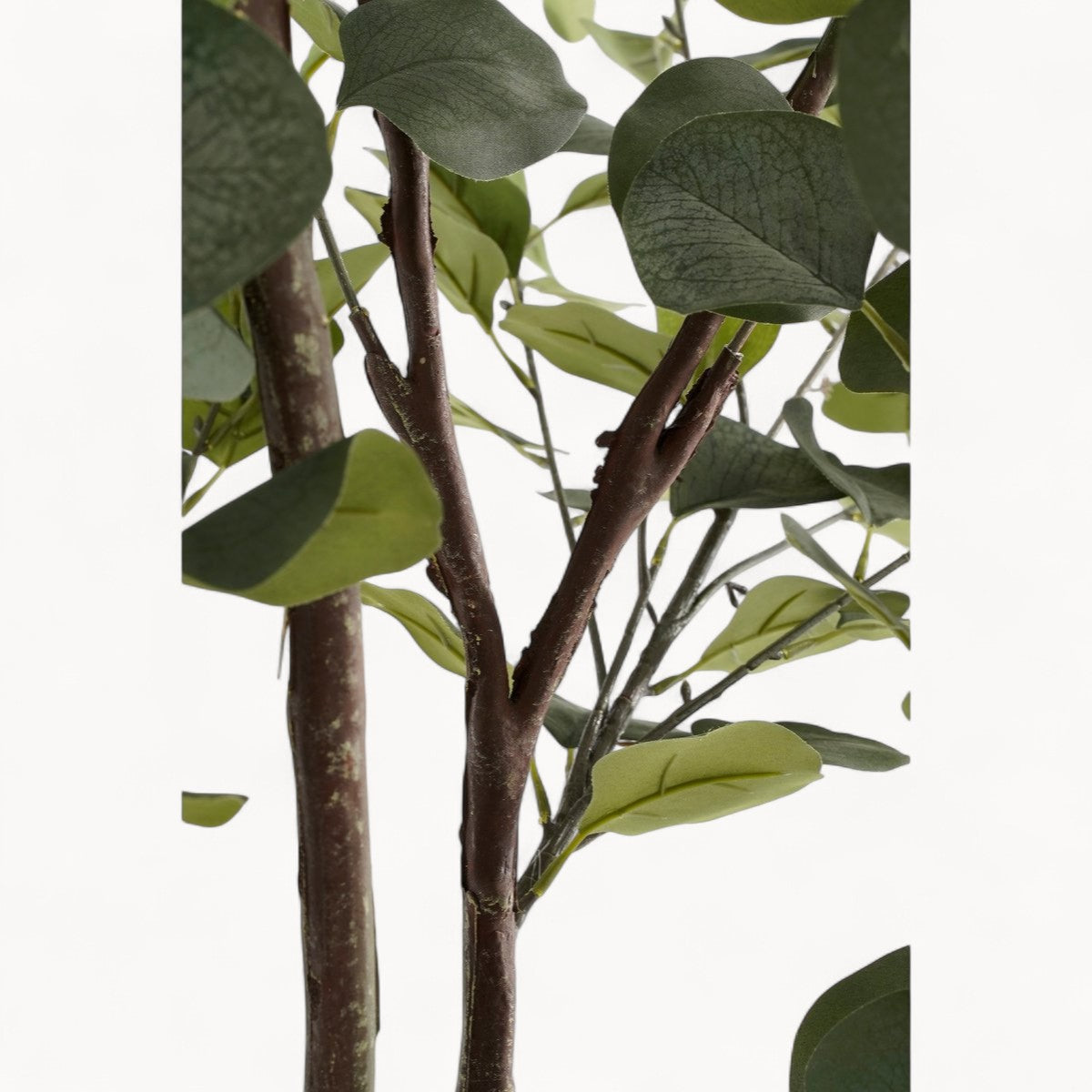 Eucalyptusboom Kunstplant 180 cm