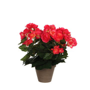 Begonia Kunstplant 30 cm (in bloempot)