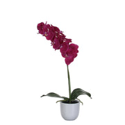 Phalaenopsis Kunstplant 60 cm (in bloempot)