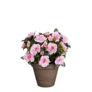 Azalea Kunstplant 31 cm (in bloempot)