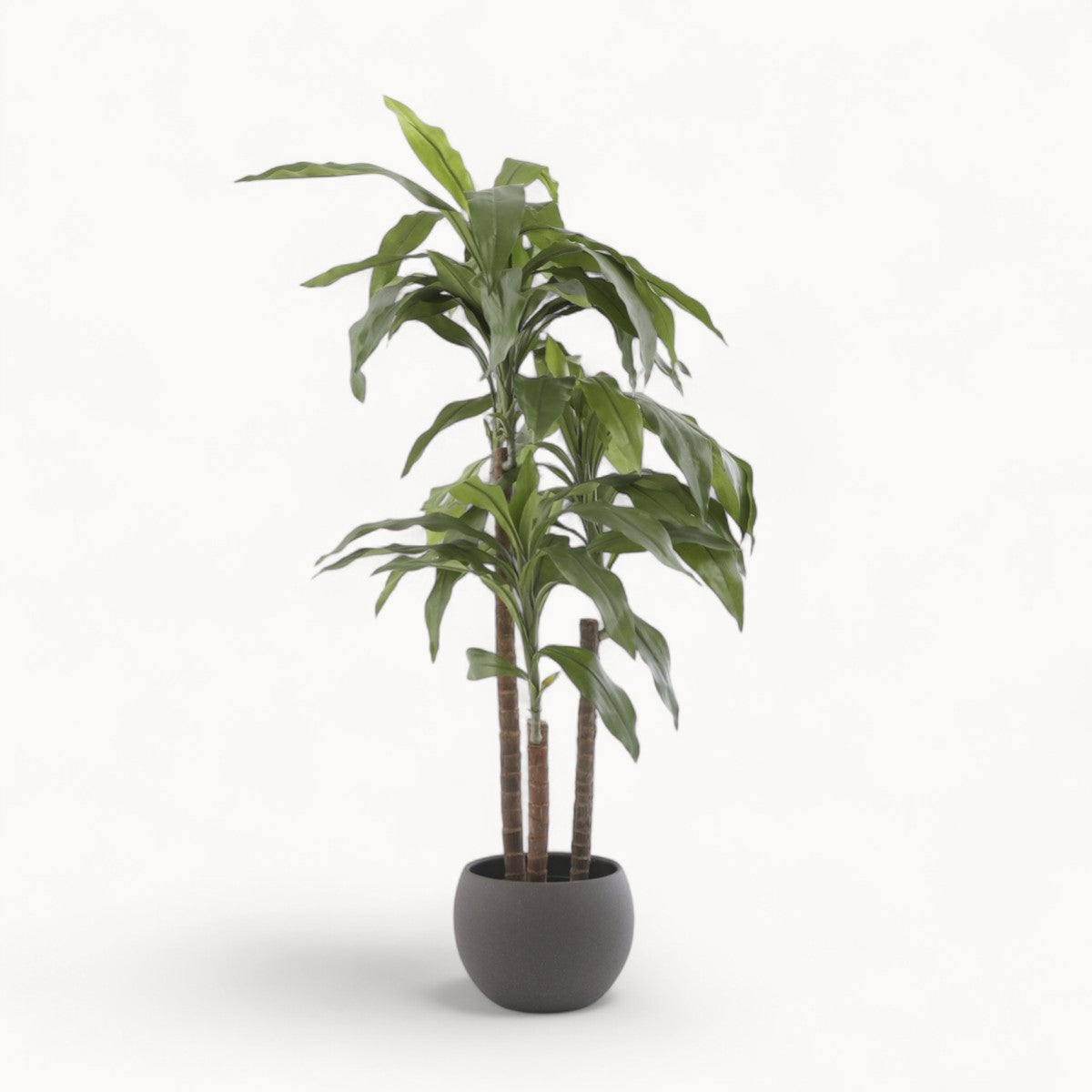 Dracaena Kunstplant 100 cm
