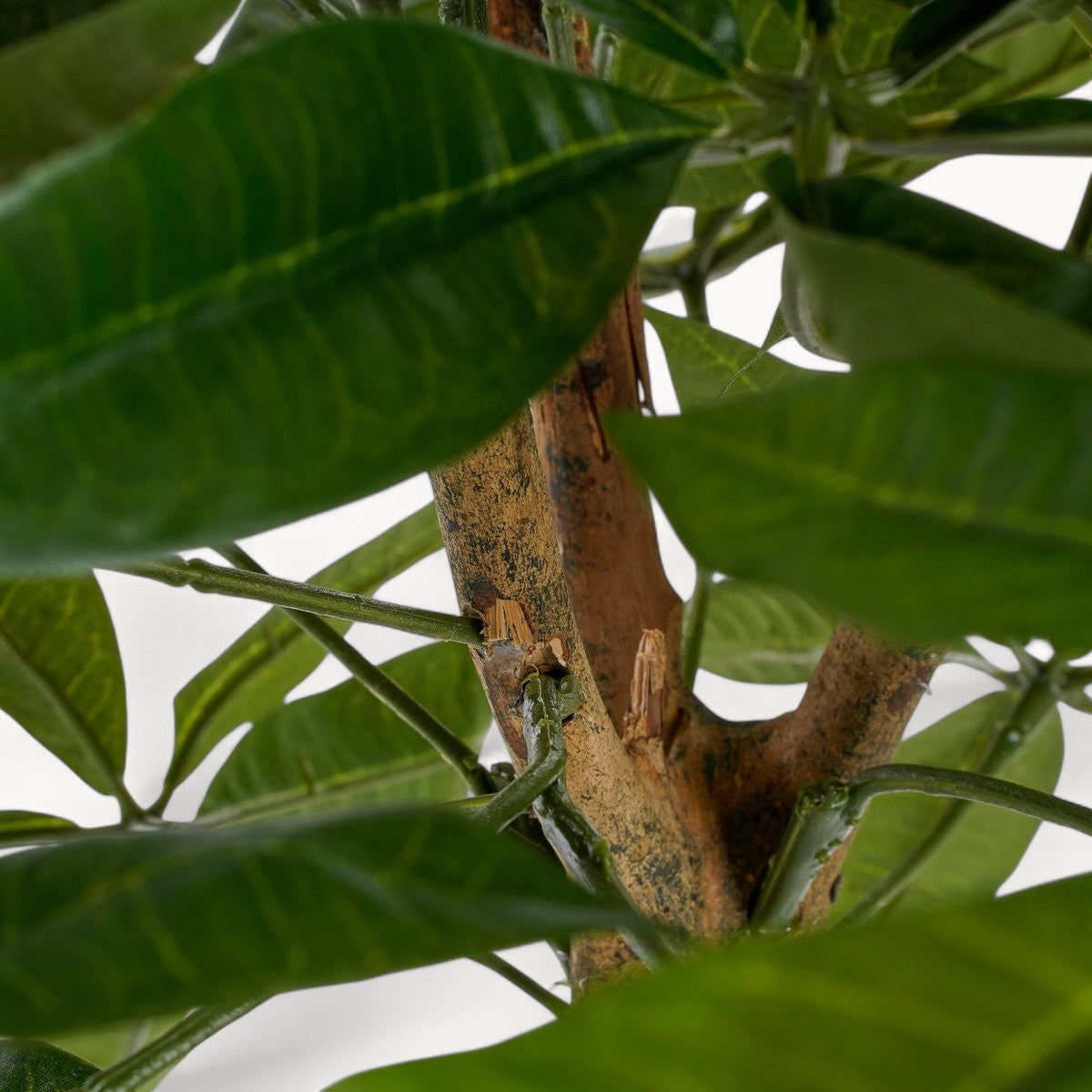 Pachira Kunstplant 120 cm