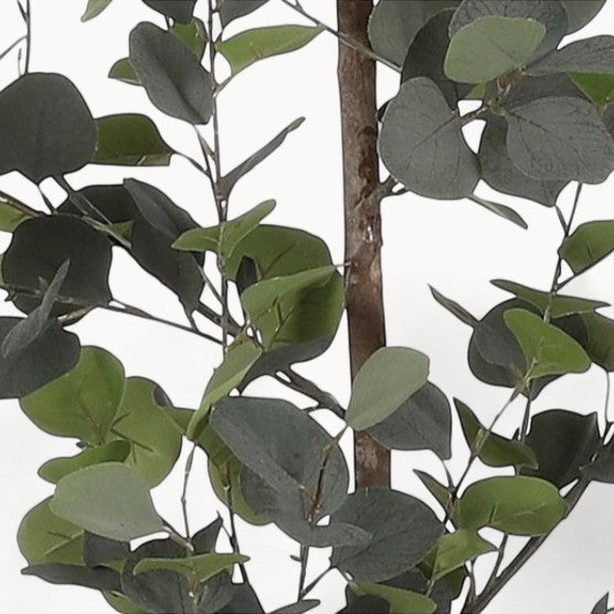 Eucalyptus Kunstplant 150 cm-zoom-3
