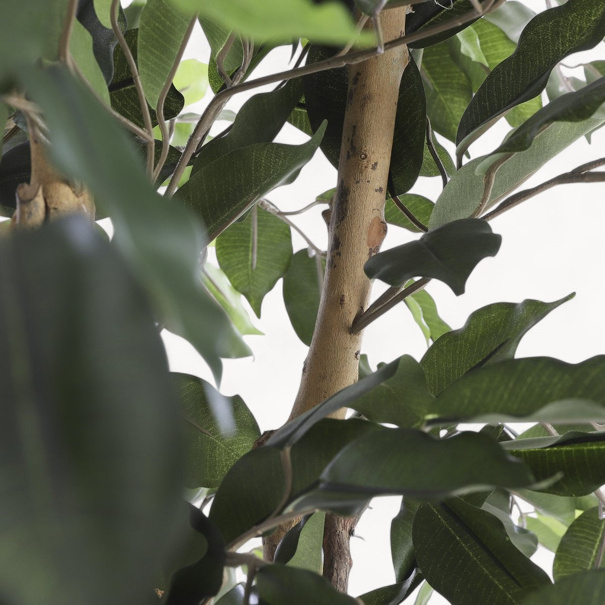 Ficus Kunstplant 150 cm