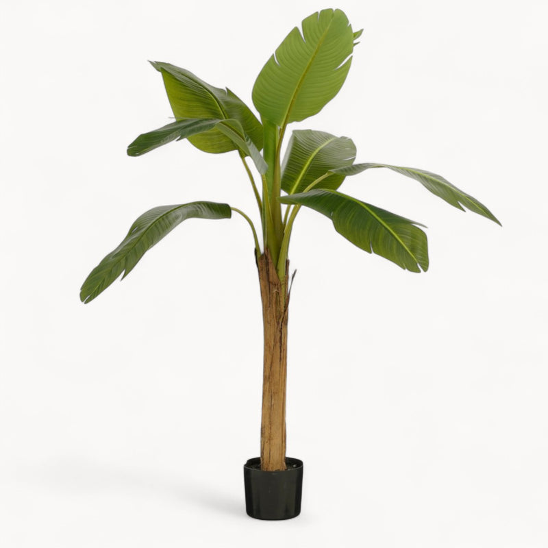 Bananenboom Kunstplant 155 cm-zoom-