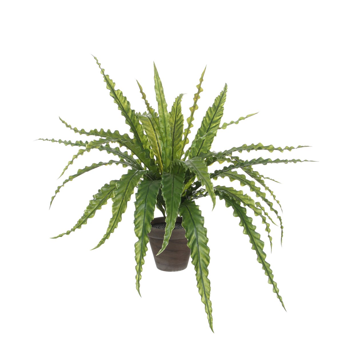 Asplenium Kunstplant 54 cm (in bloempot)