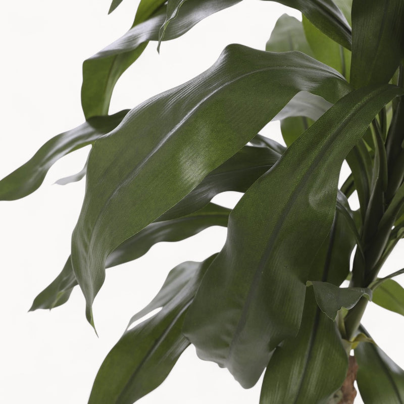 Dracaena Kunstplant 100 cm-zoom-