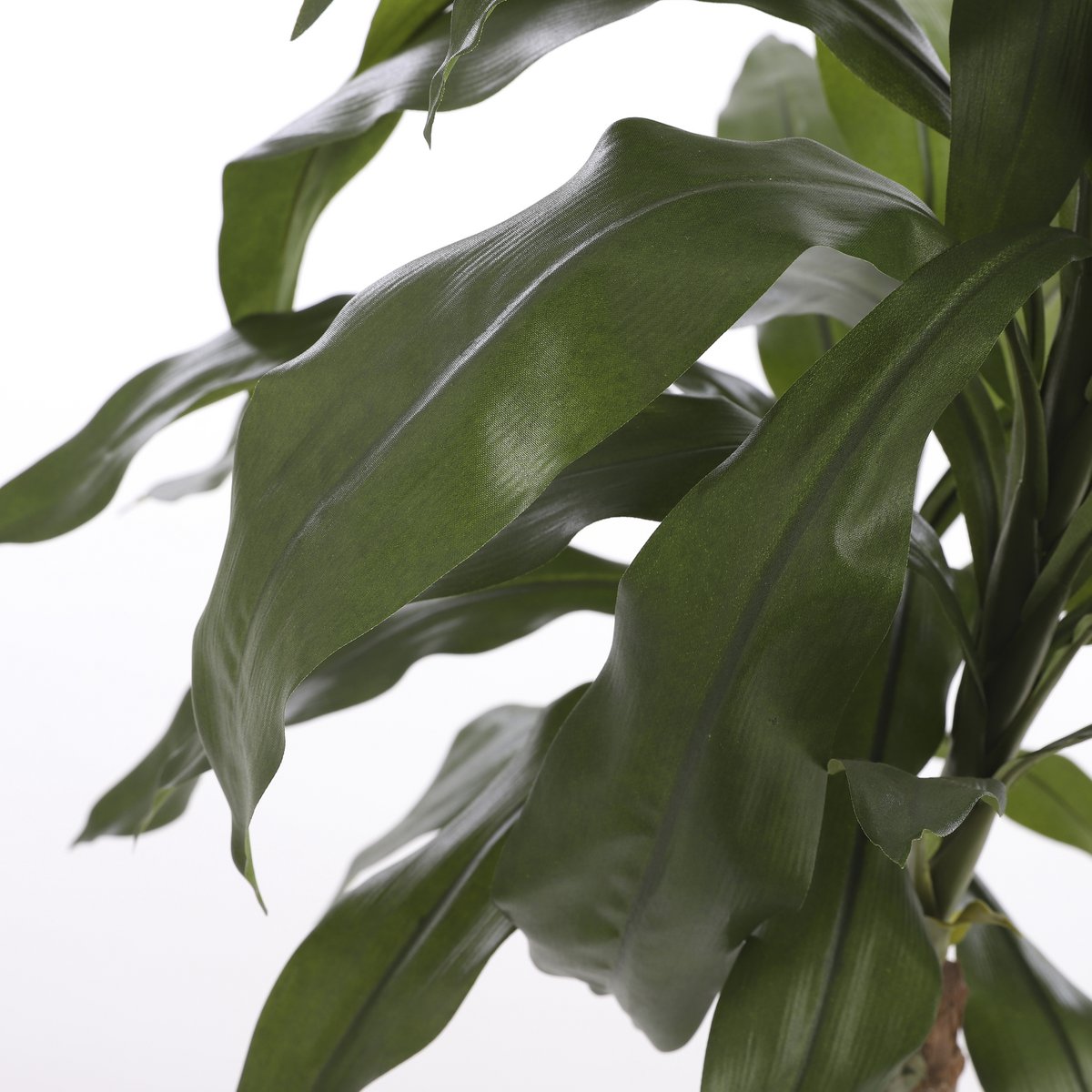 Dracaena Kunstplant 100 cm