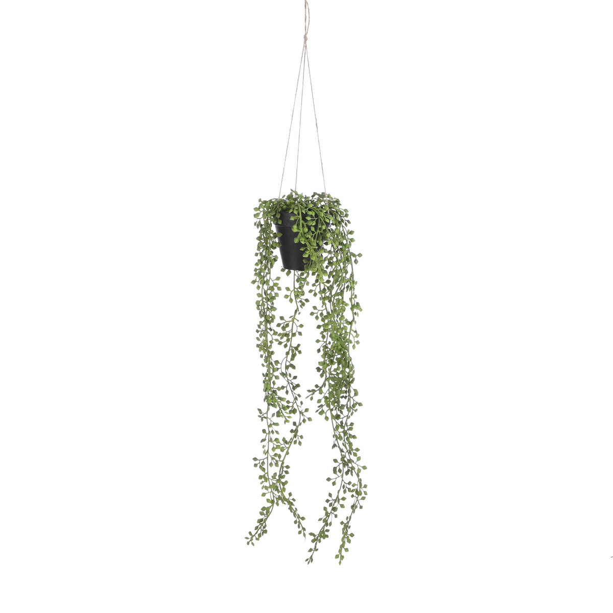 Senecio Kunst Hangplant 68 cm