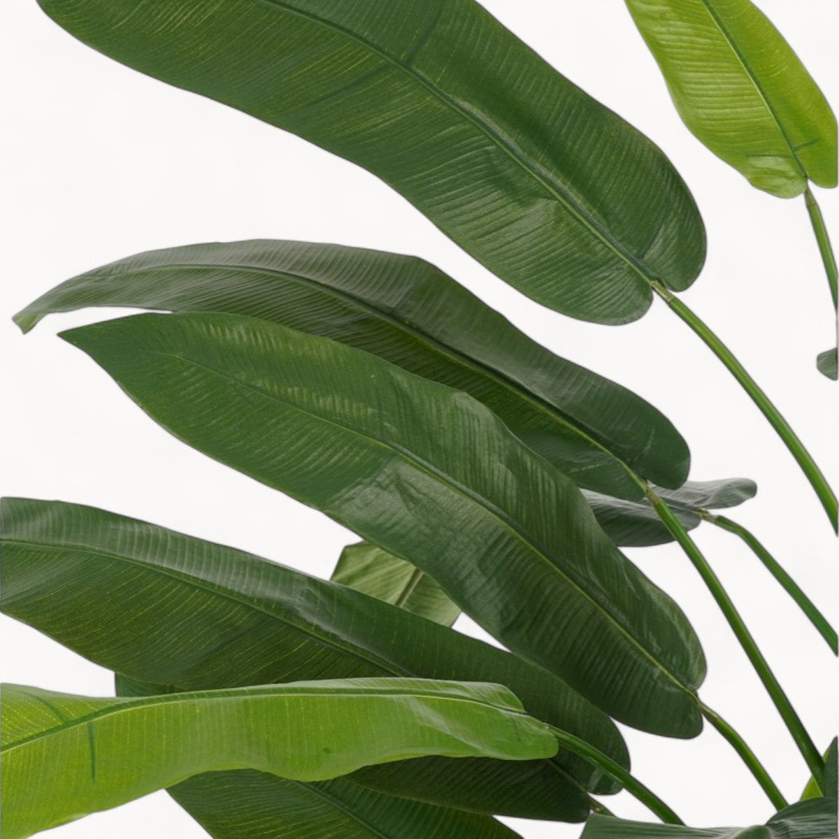 Heliconia Kunstplant 175 cm