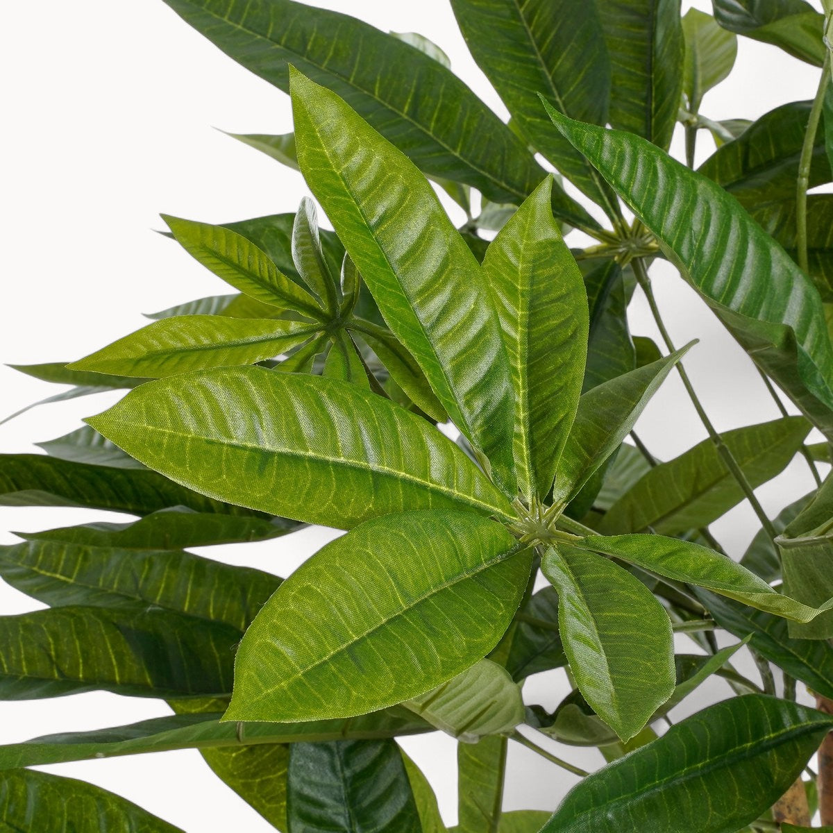 Pachira Kunstplant 150 cm