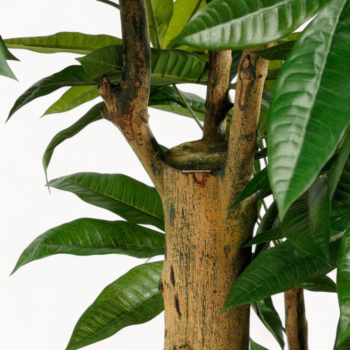 Pachira Kunstplant 175 cm
