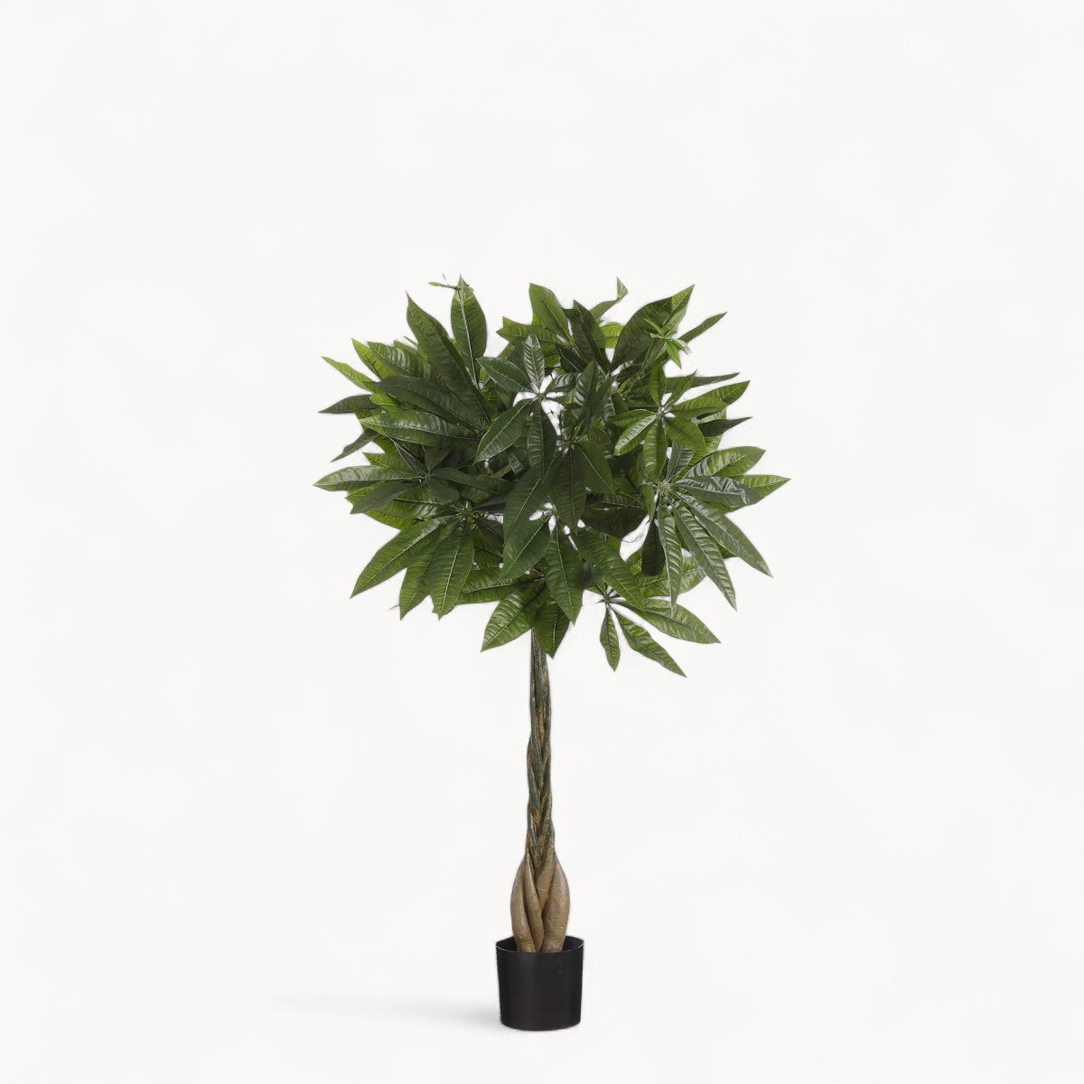 Pachira Kunstplant 80 cm
