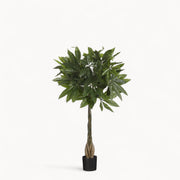 Pachira Kunstplant 80 cm