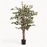 Ficus Kunstplant 110 cm