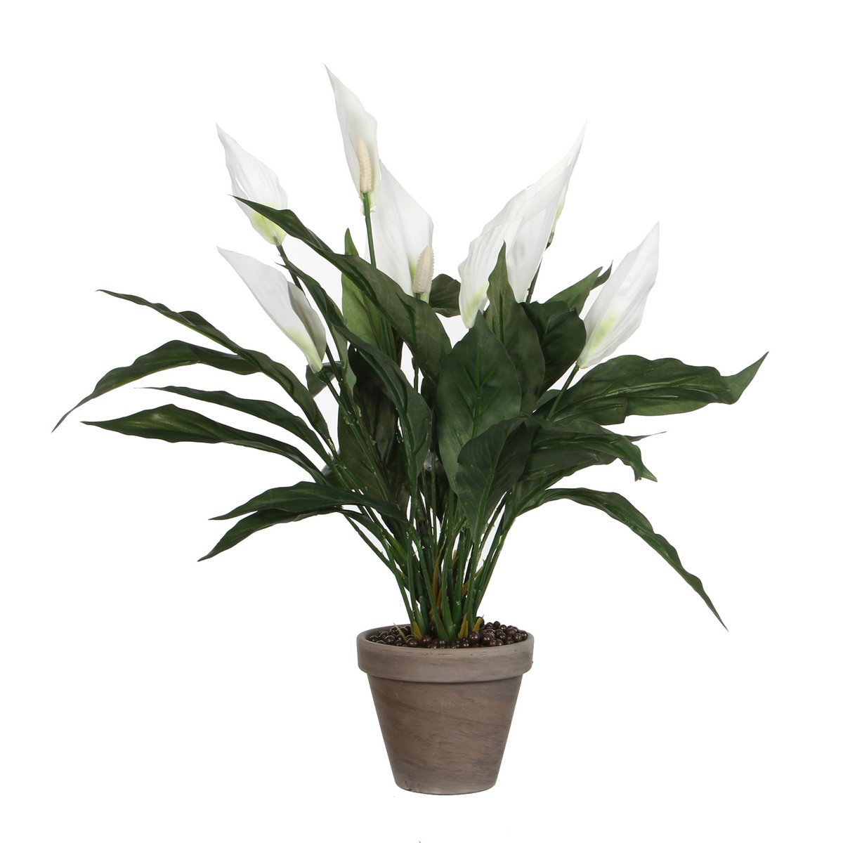 Spathiphyllum Kunstplant 50 cm