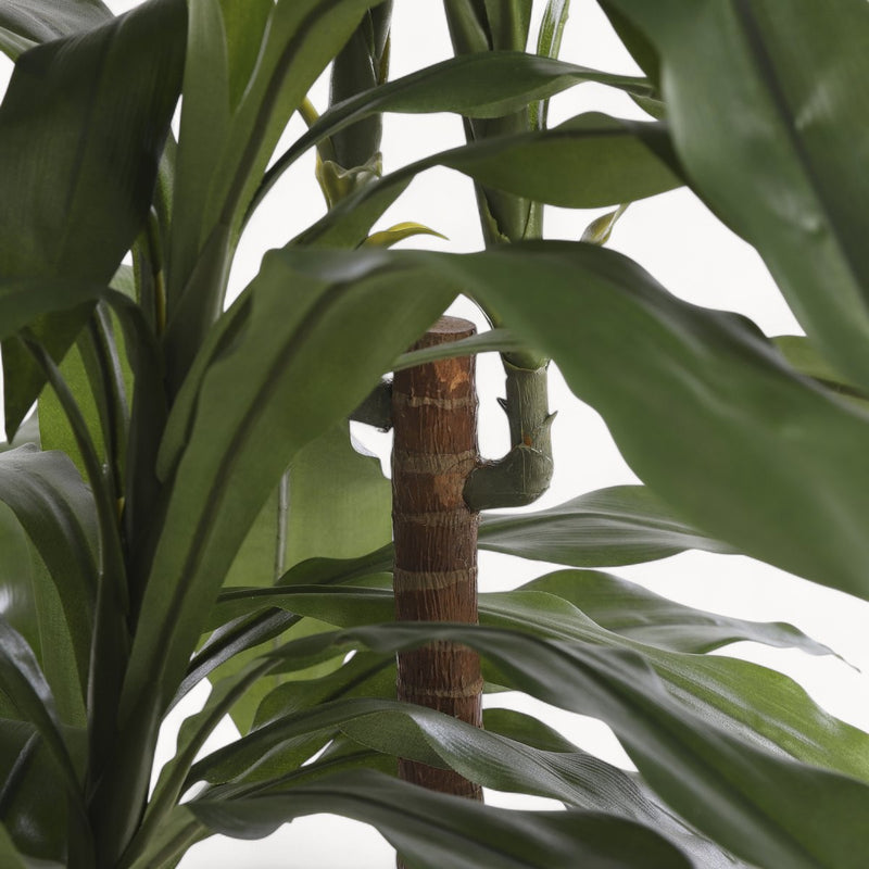 Dracaena Kunstplant 100 cm-zoom-