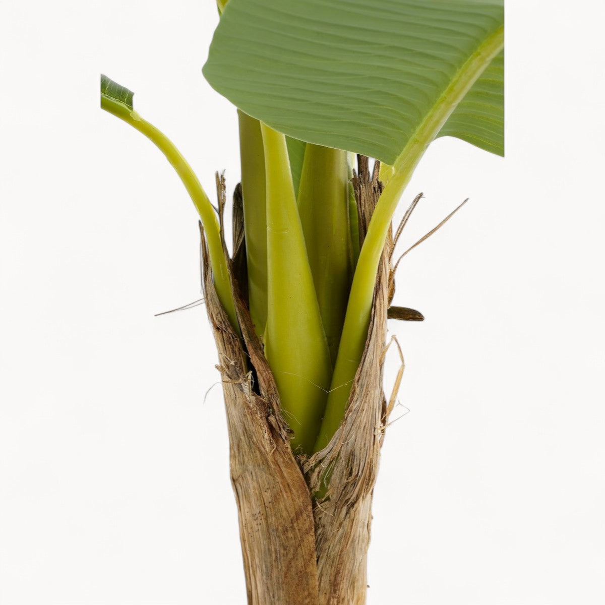 Bananenboom Kunstplant 155 cm