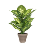 Dieffenbachia Kunstplant 40 cm (in bloempot)