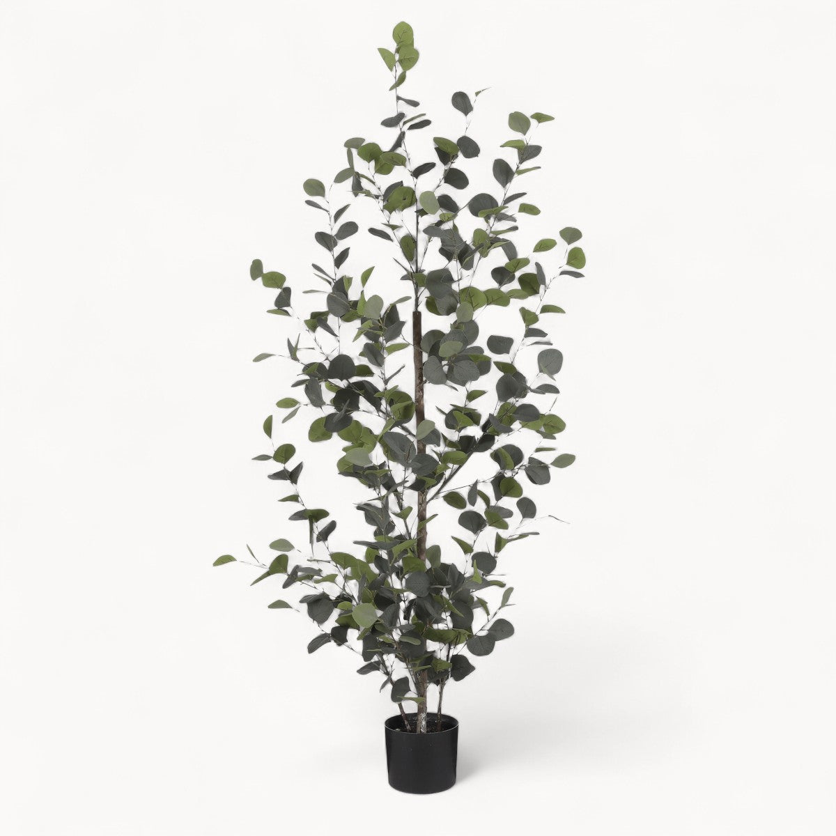 Eucalyptus Kunstplant 150 cm