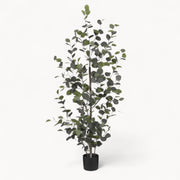 Eucalyptus Kunstplant 150 cm