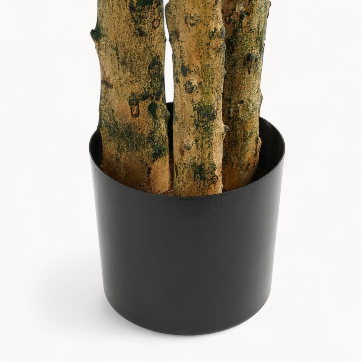 Pachira Kunstplant 175 cm