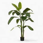 Heliconia Kunstplant 175 cm