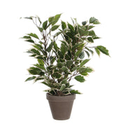 Ficus Natasja Kunstplant 40 cm (in bloempot)