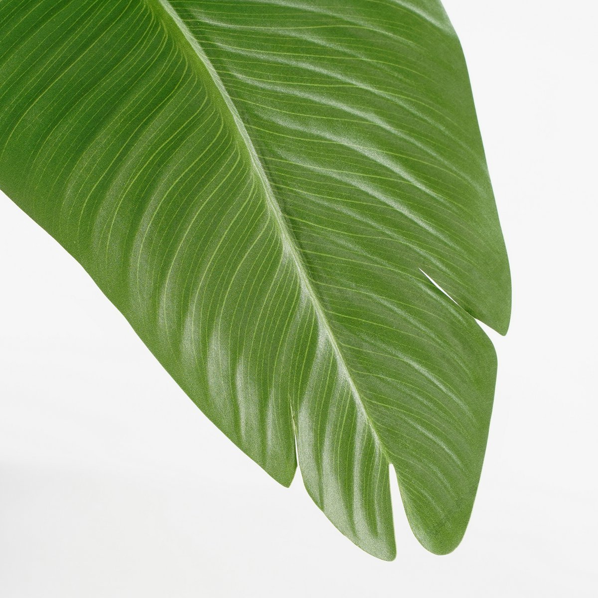 Bananenboom Kunstplant 180 cm