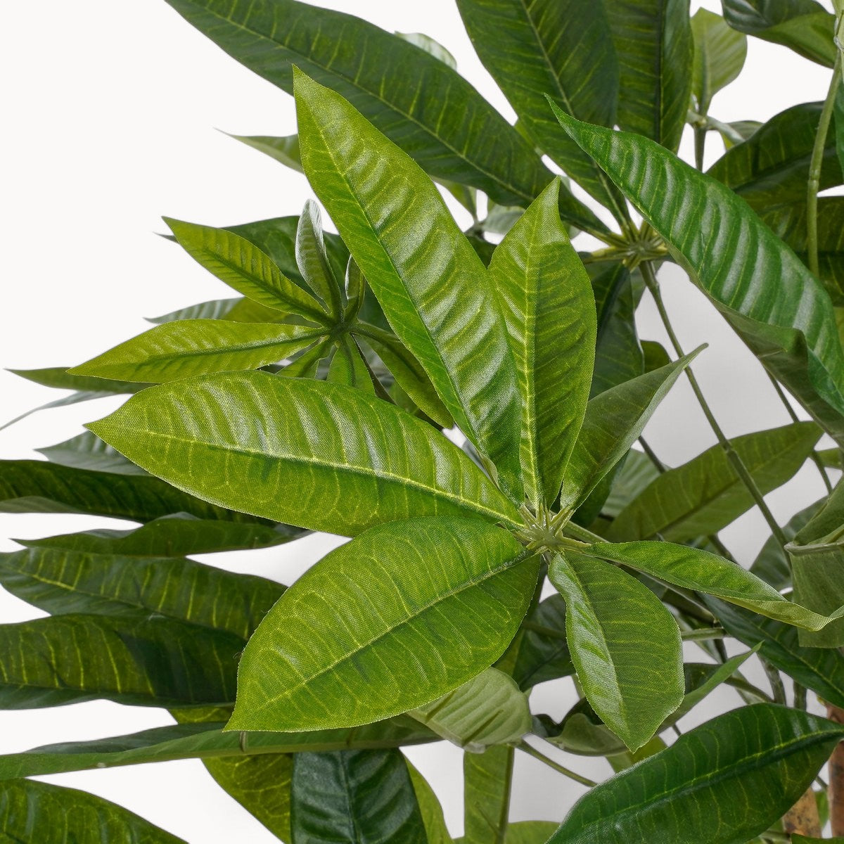 Pachira Kunstplant 80 cm