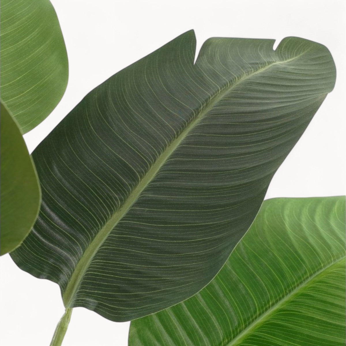 Bananenboom Kunstplant 180 cm