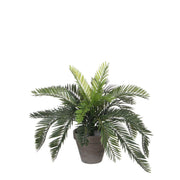 Cycas Palm Kunstplant 37 cm (in bloempot)