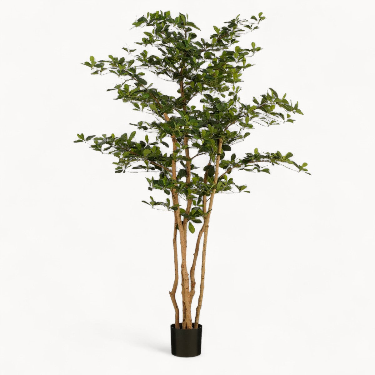 Olijfboom Kunstplant 183 cm