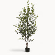 Eucalyptusboom Kunstplant 180 cm
