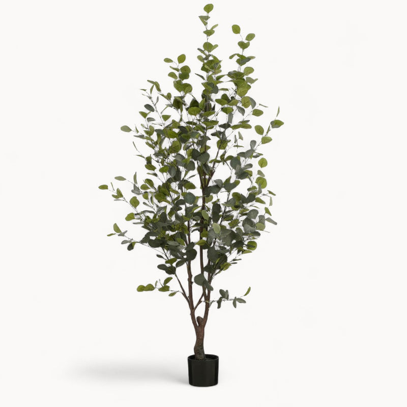 Eucalyptusboom Kunstplant 180 cm-zoom-