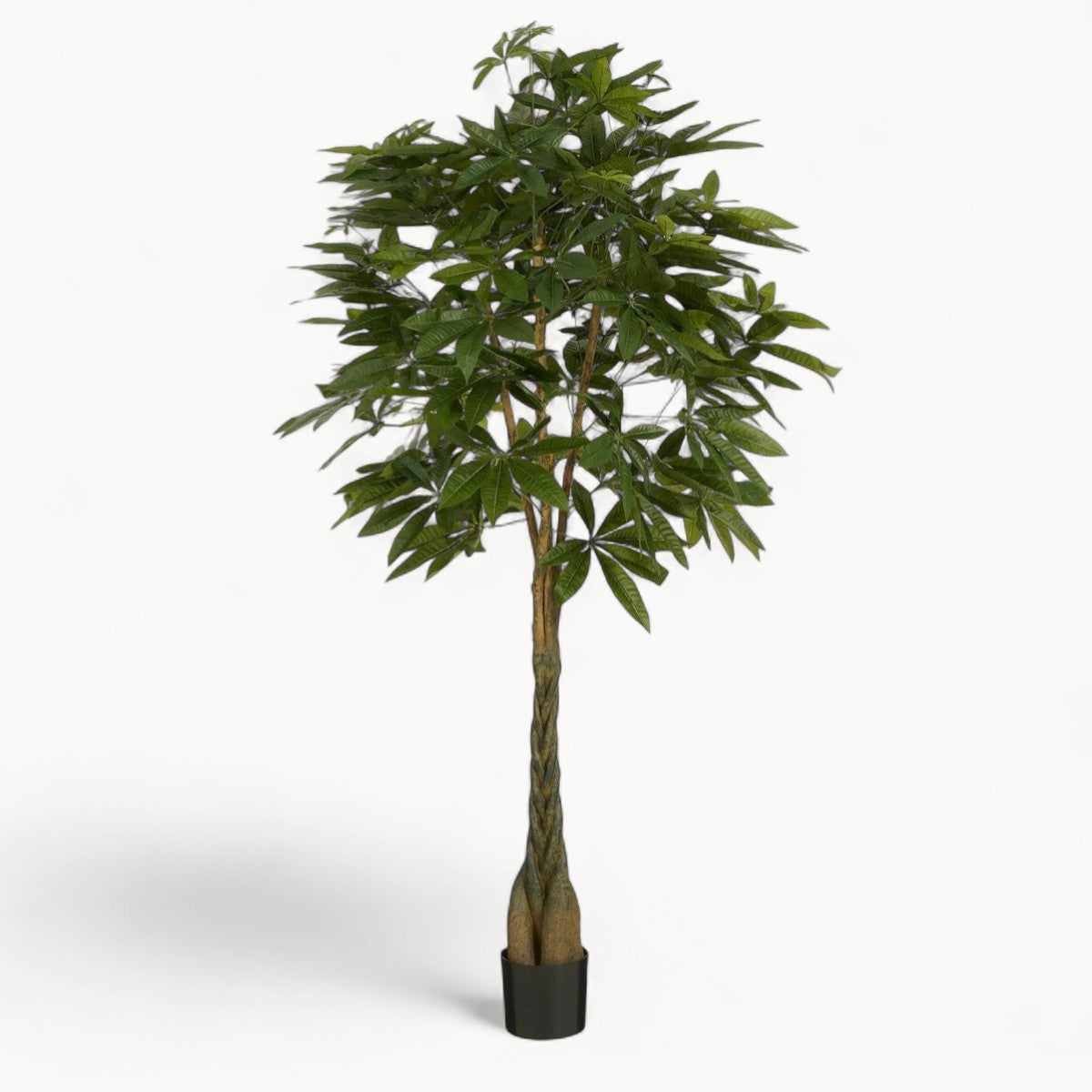 Pachira Kunstplant 150 cm