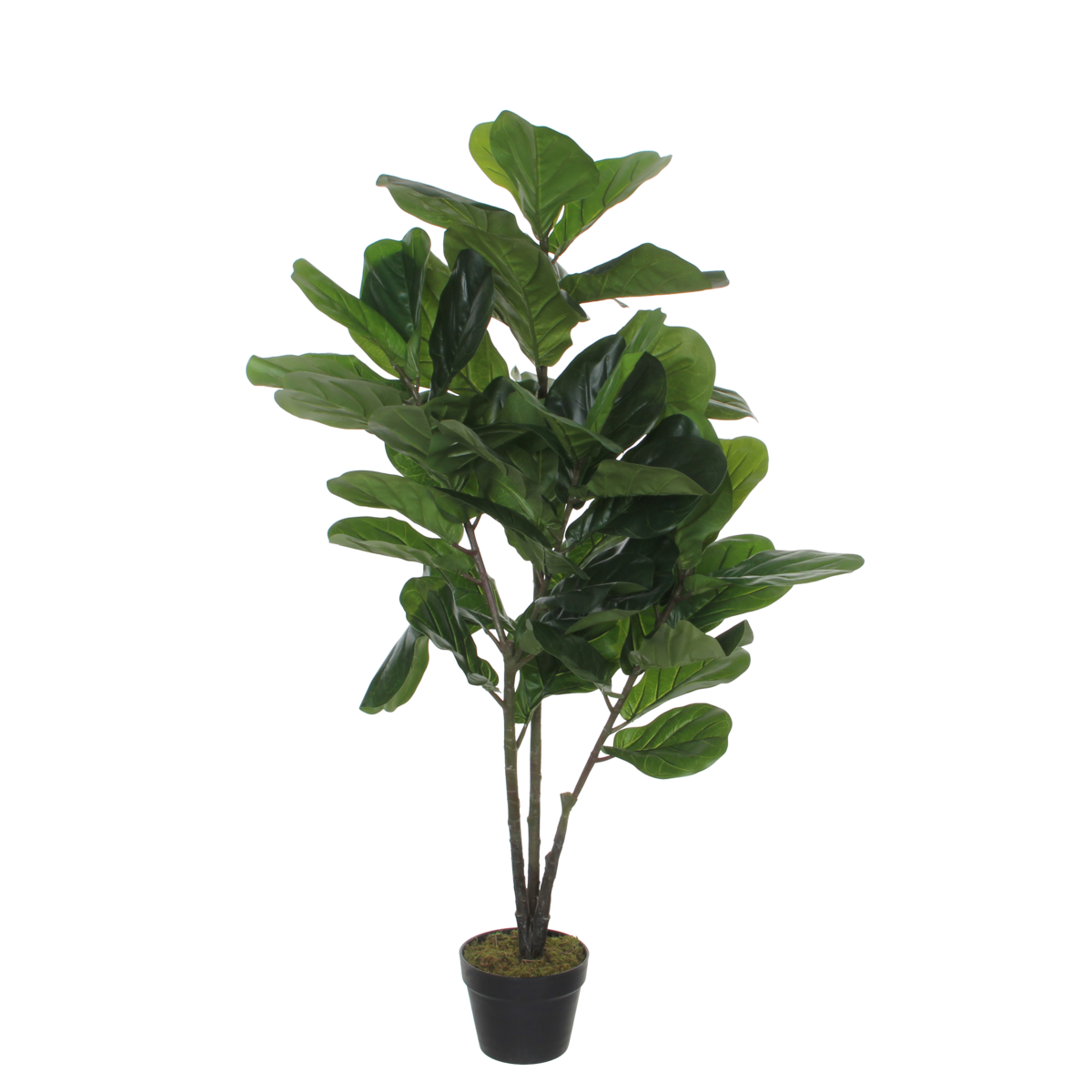 Ficus Lyrata Kunstplant 120 cm